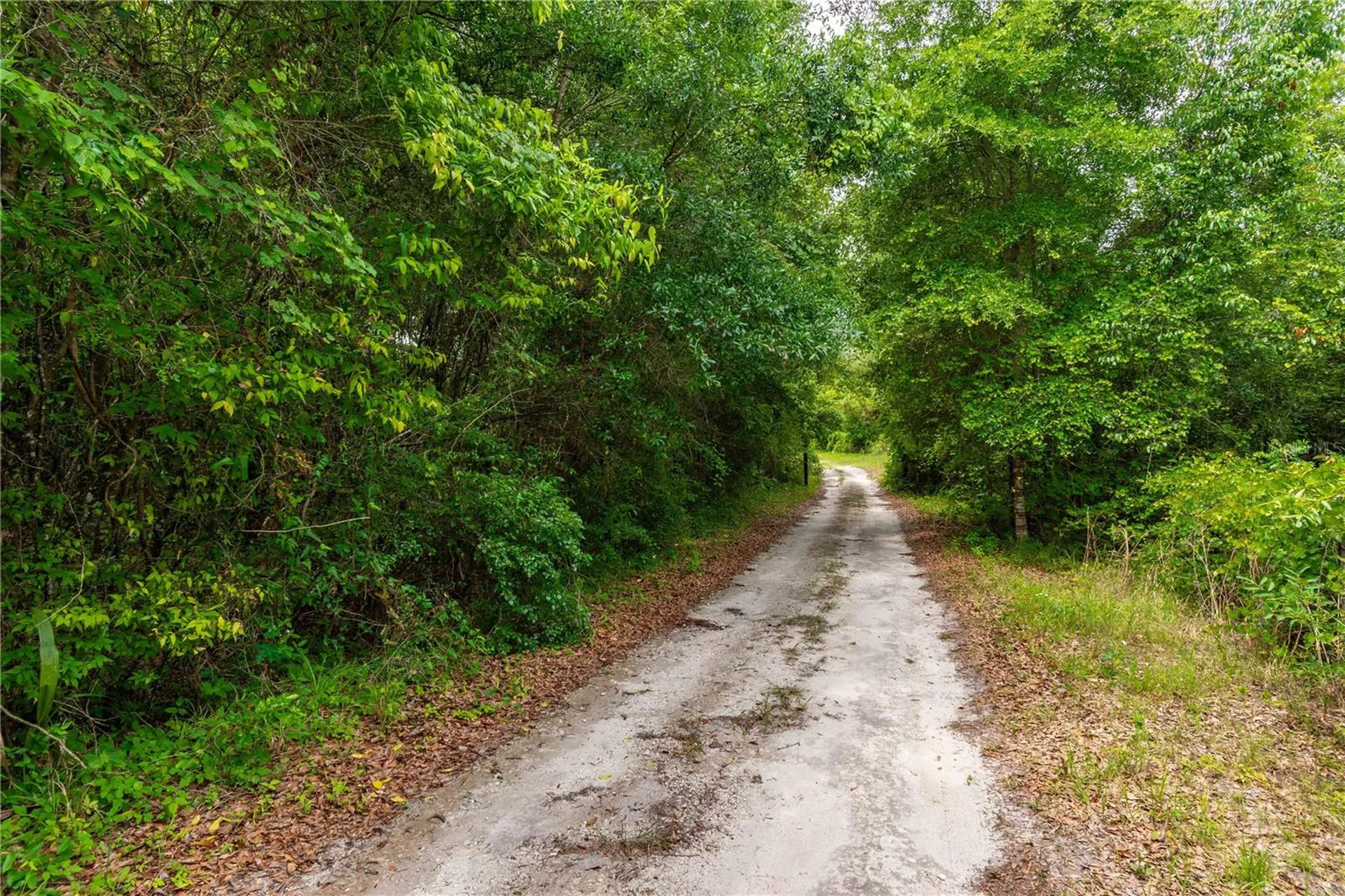 13586 N Us Highway 27 Ocala FL 34482