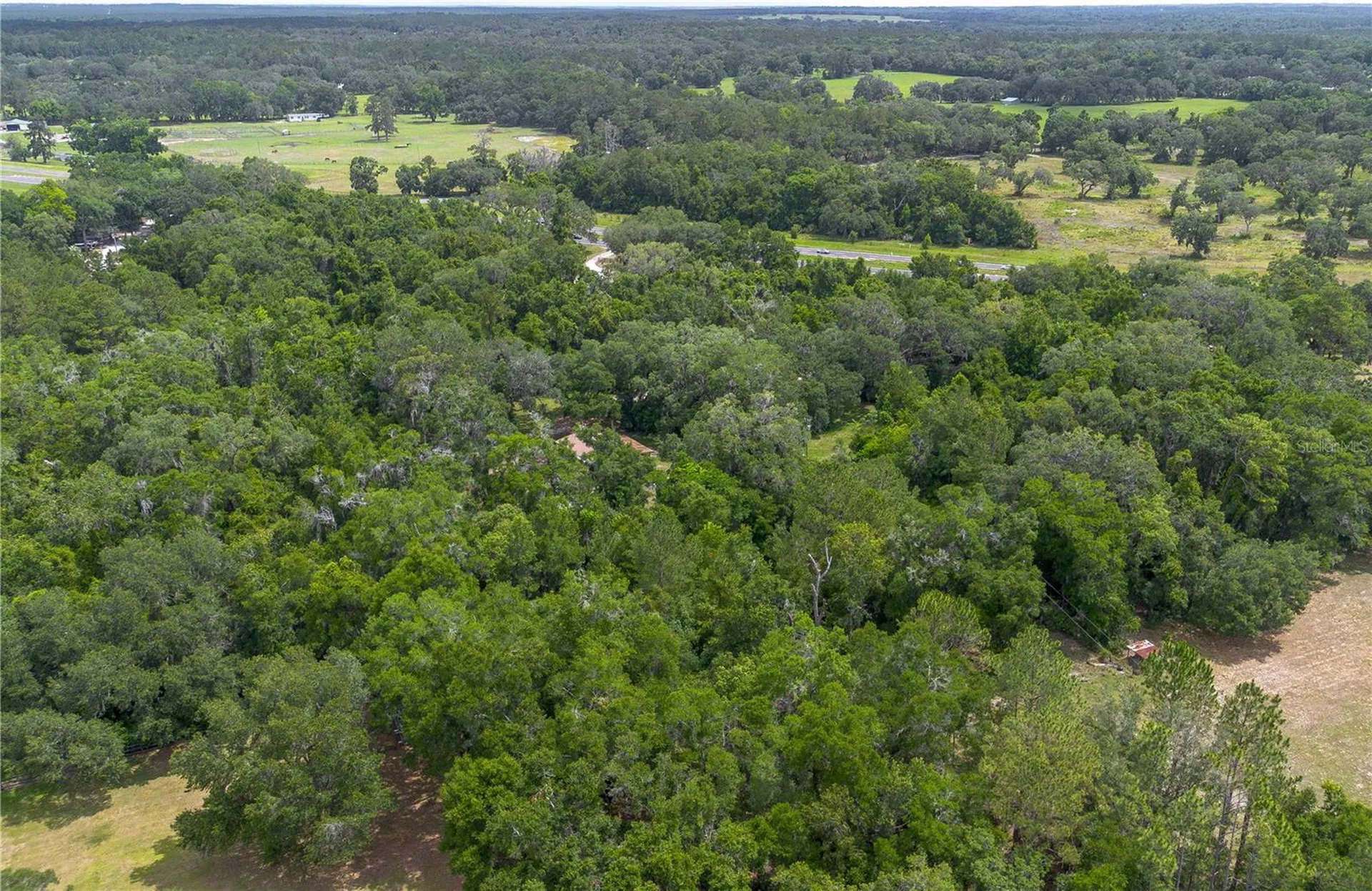 13586 N Us Highway 27 Ocala FL 34482