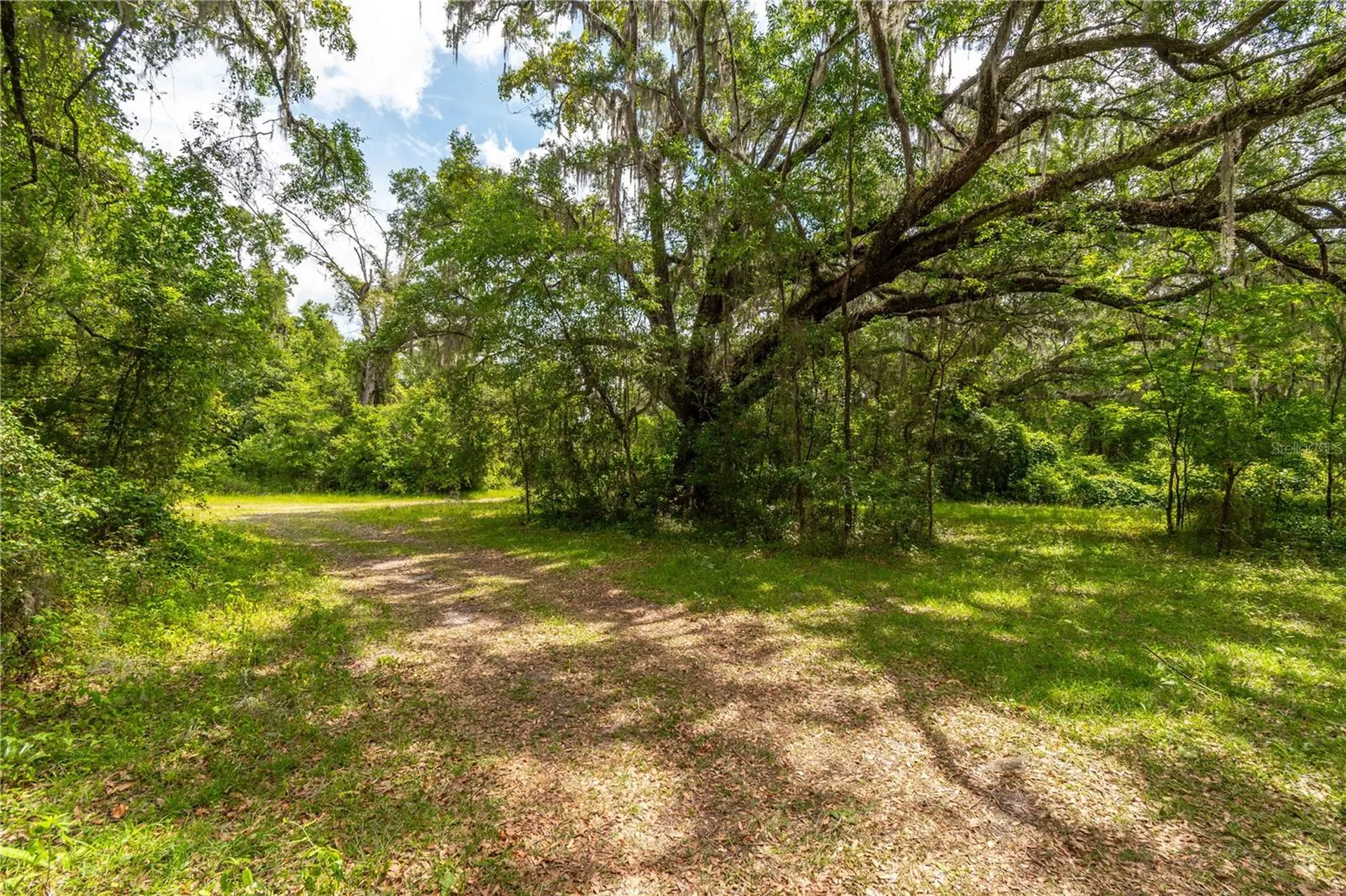 13586 N Us Highway 27 Ocala FL 34482