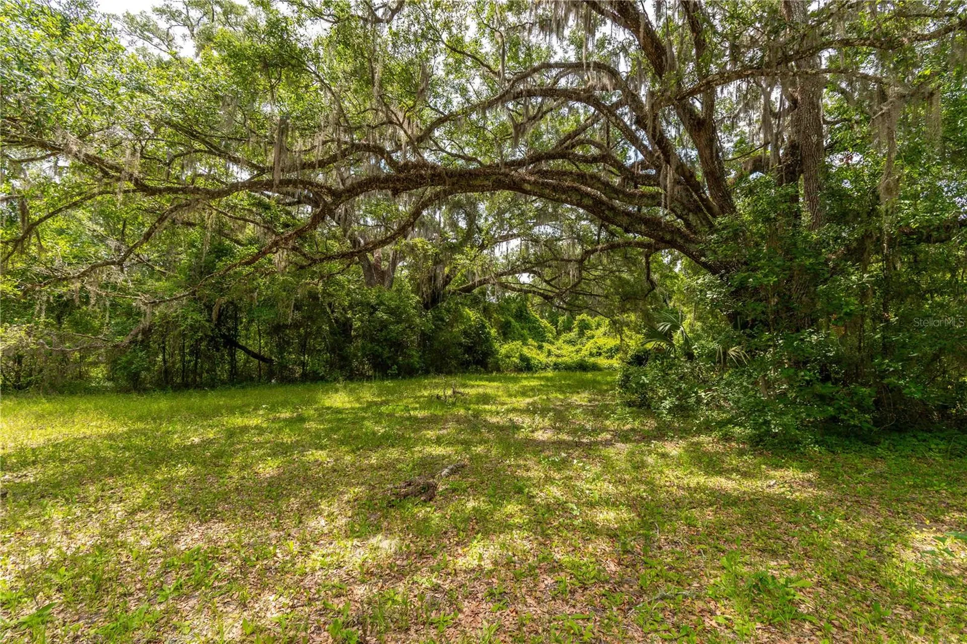 13586 N Us Highway 27 Ocala FL 34482