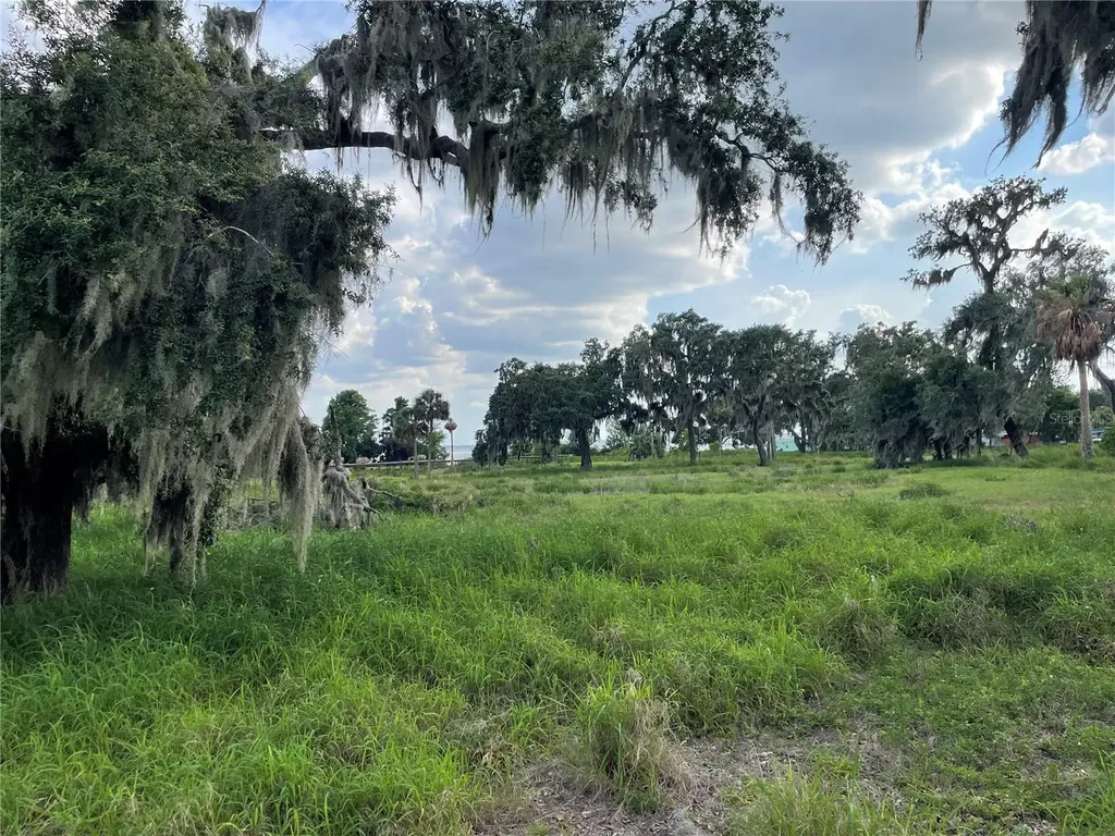32311 Anglers Avenue Leesburg FL 34788