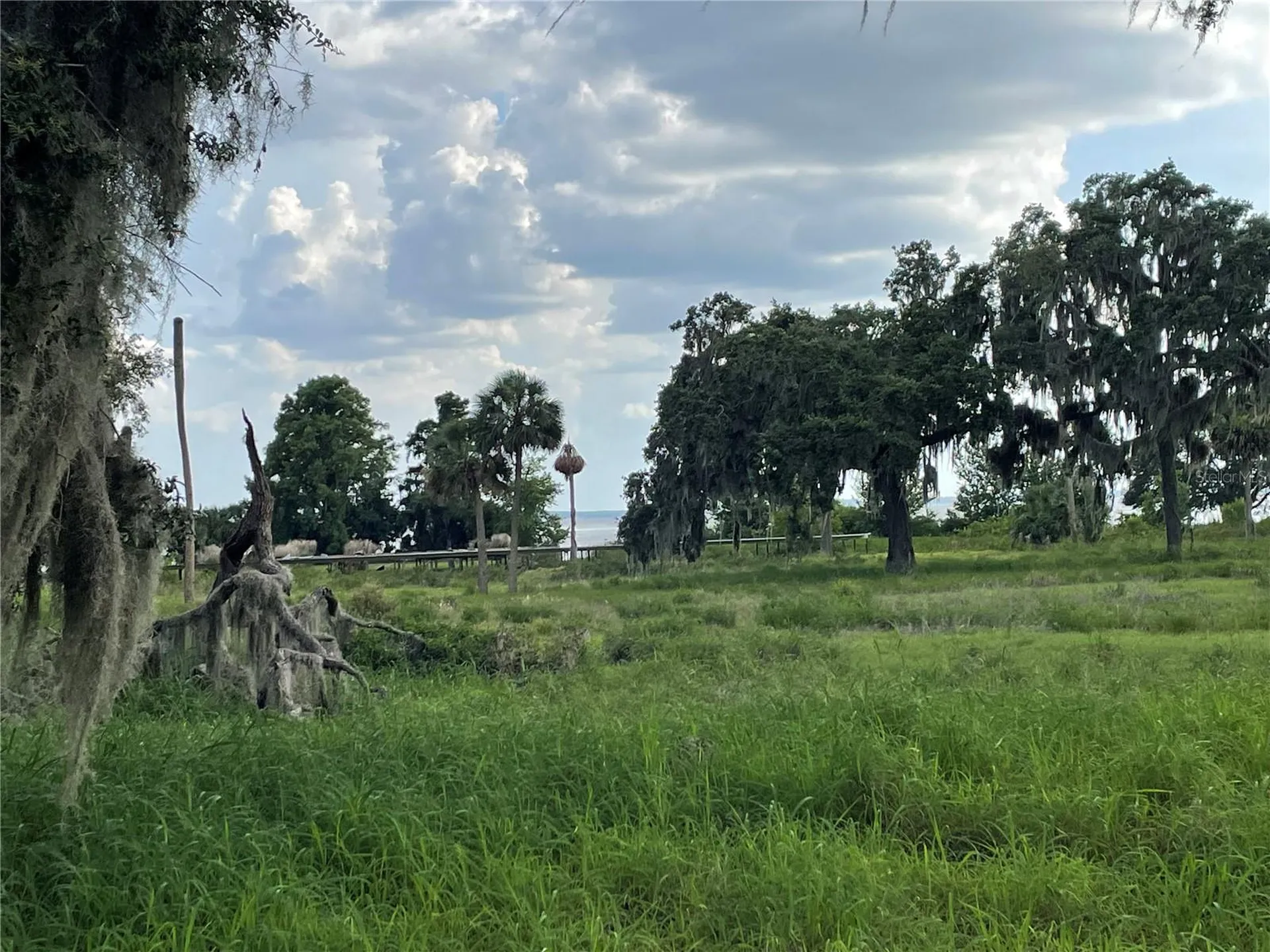 32311 Anglers Avenue Leesburg FL 34788