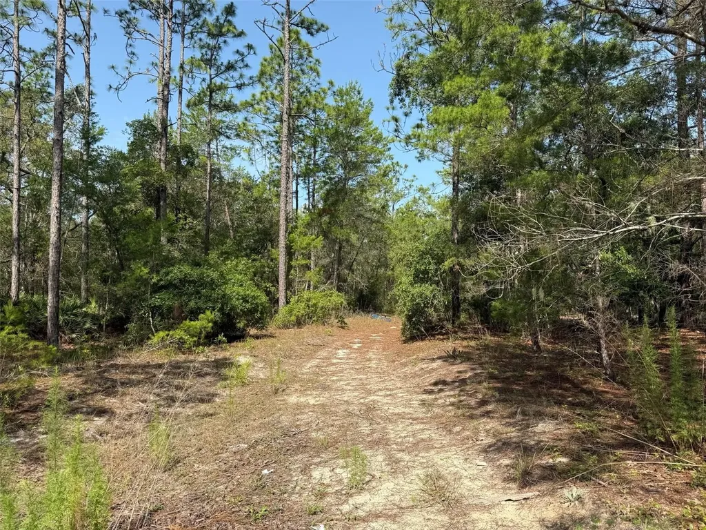 101 Washington Avenue Satsuma FL 32189