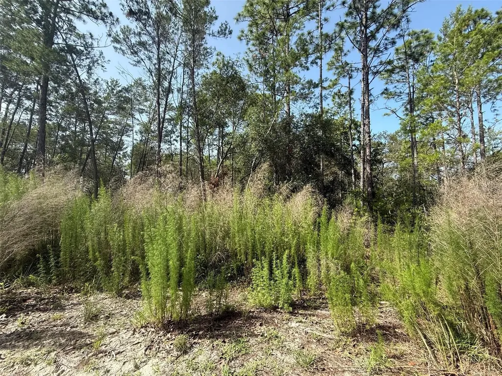 101 Washington Avenue Satsuma FL 32189