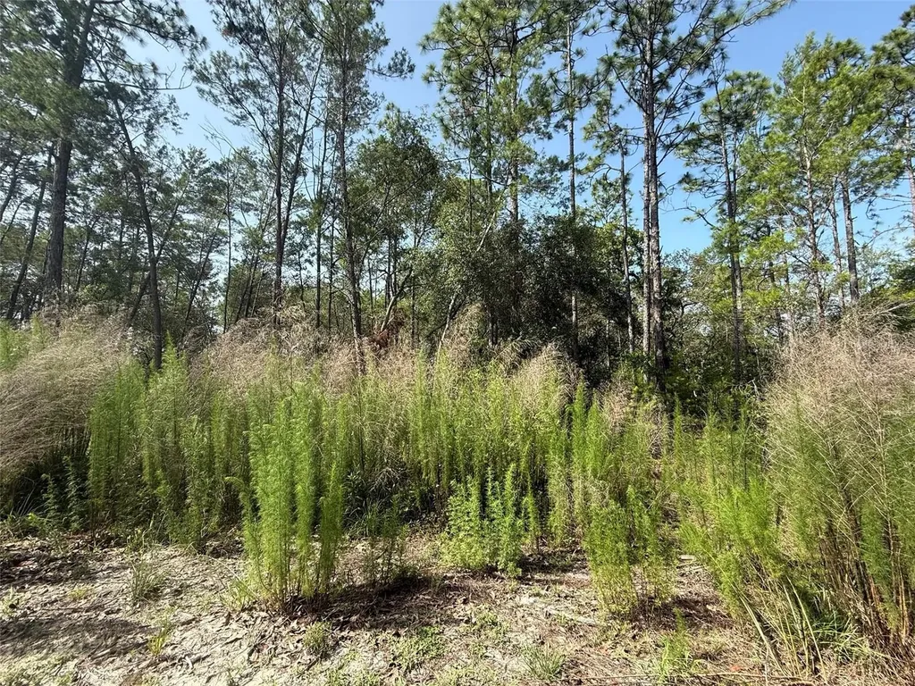 101 Washington Avenue Satsuma FL 32189