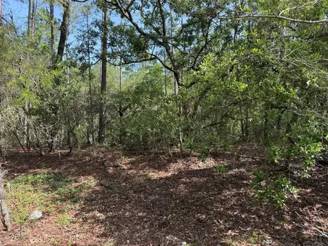 101 Washington Avenue Satsuma FL 32189