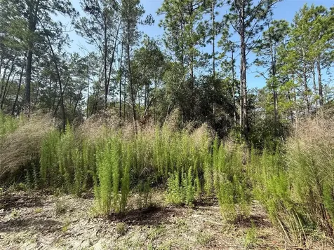 101 Washington Avenue Satsuma FL 32189