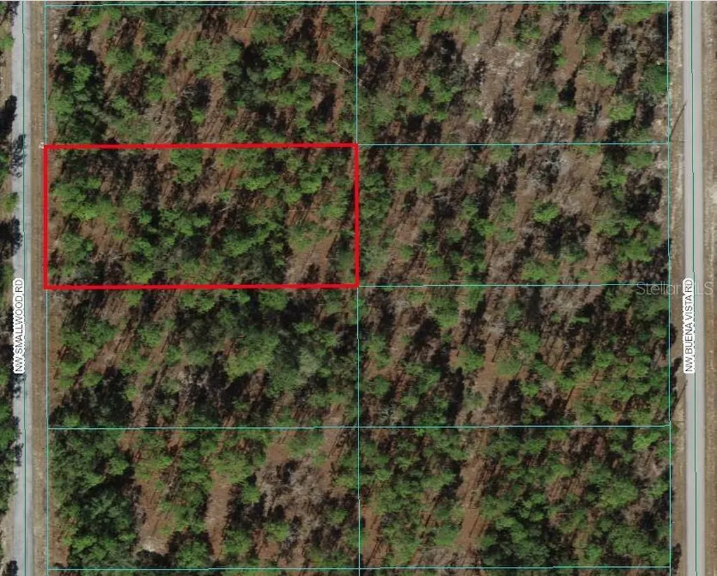 0 NW Smallwood Road Dunnellon FL 34431