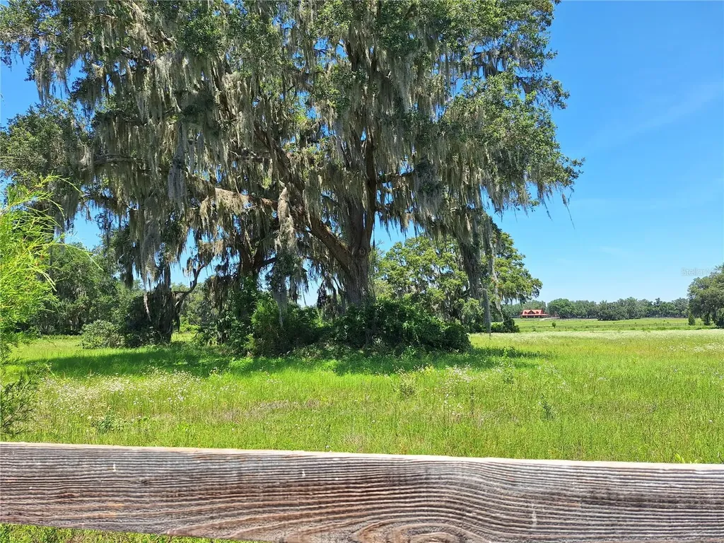 NW 154th Avenue Road #13 Morriston FL 32668