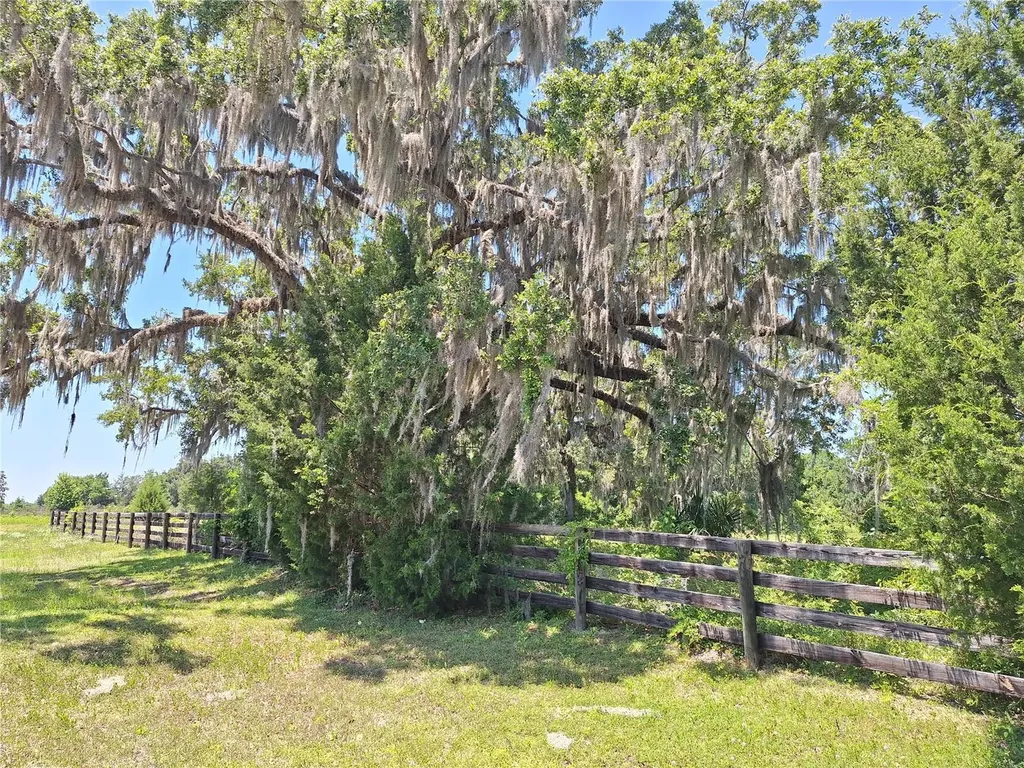 NW 154th Avenue Road #13 Morriston FL 32668