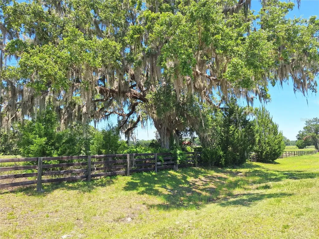 NW 154th Avenue Road #13 Morriston FL 32668