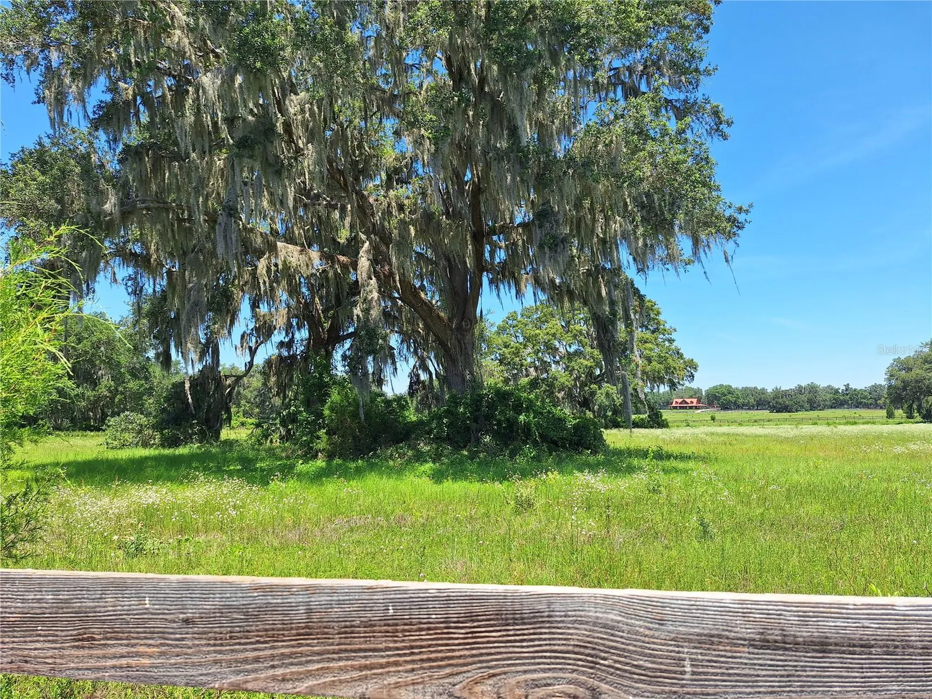 NW 154th Avenue Road #13 Morriston FL 32668