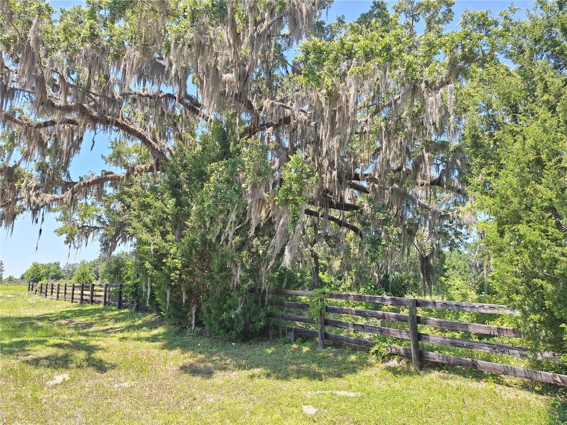 NW 154th Avenue Road #13 Morriston FL 32668