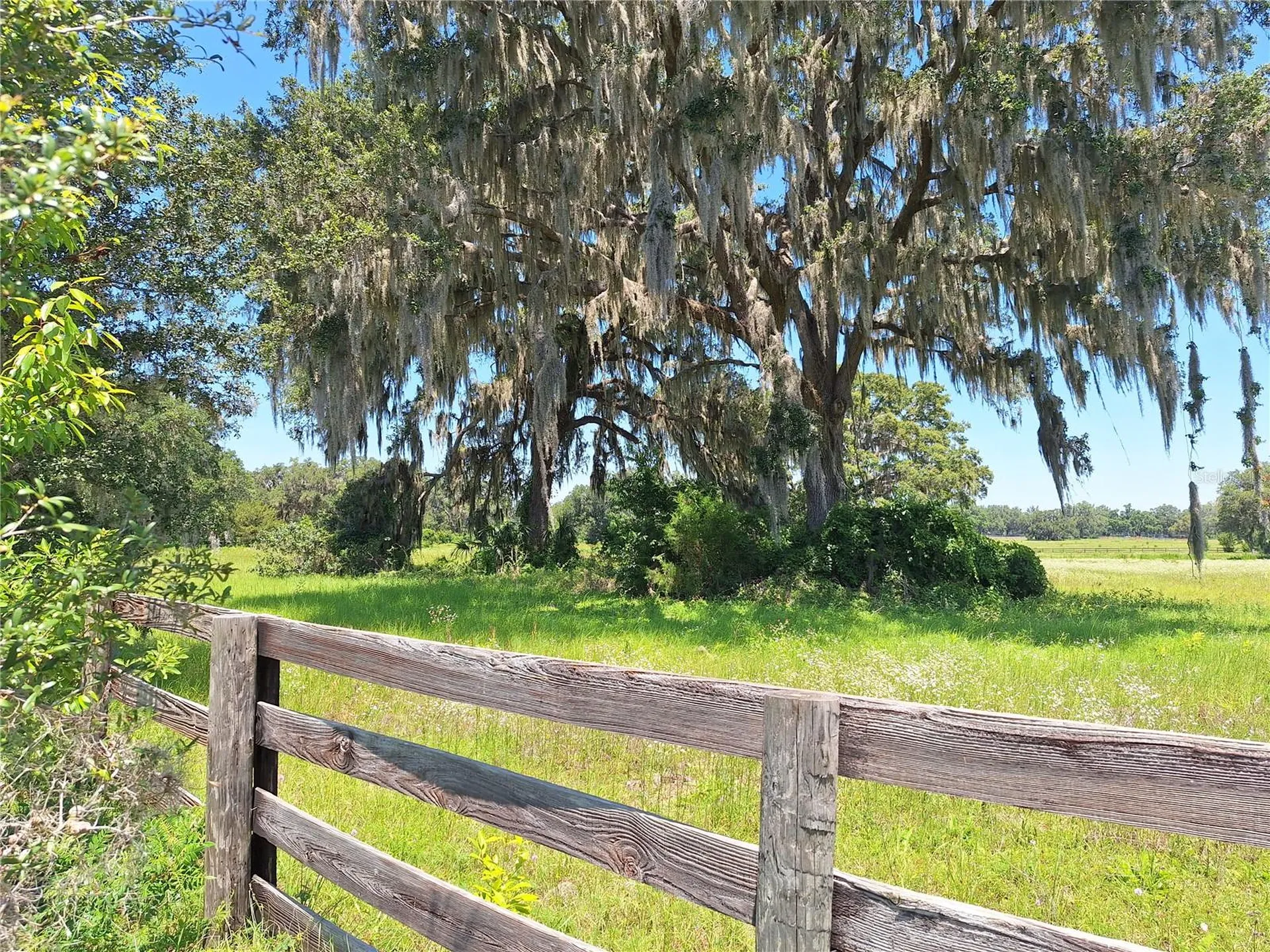 NW 154th Avenue Road #13 Morriston FL 32668