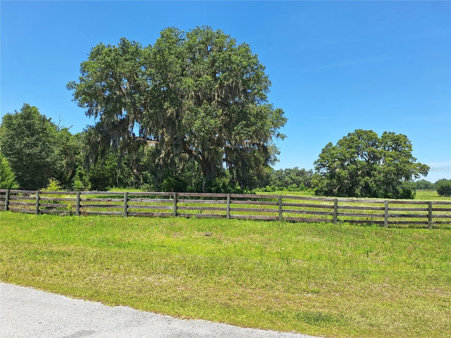 NW 154th Avenue Road #13 Morriston FL 32668