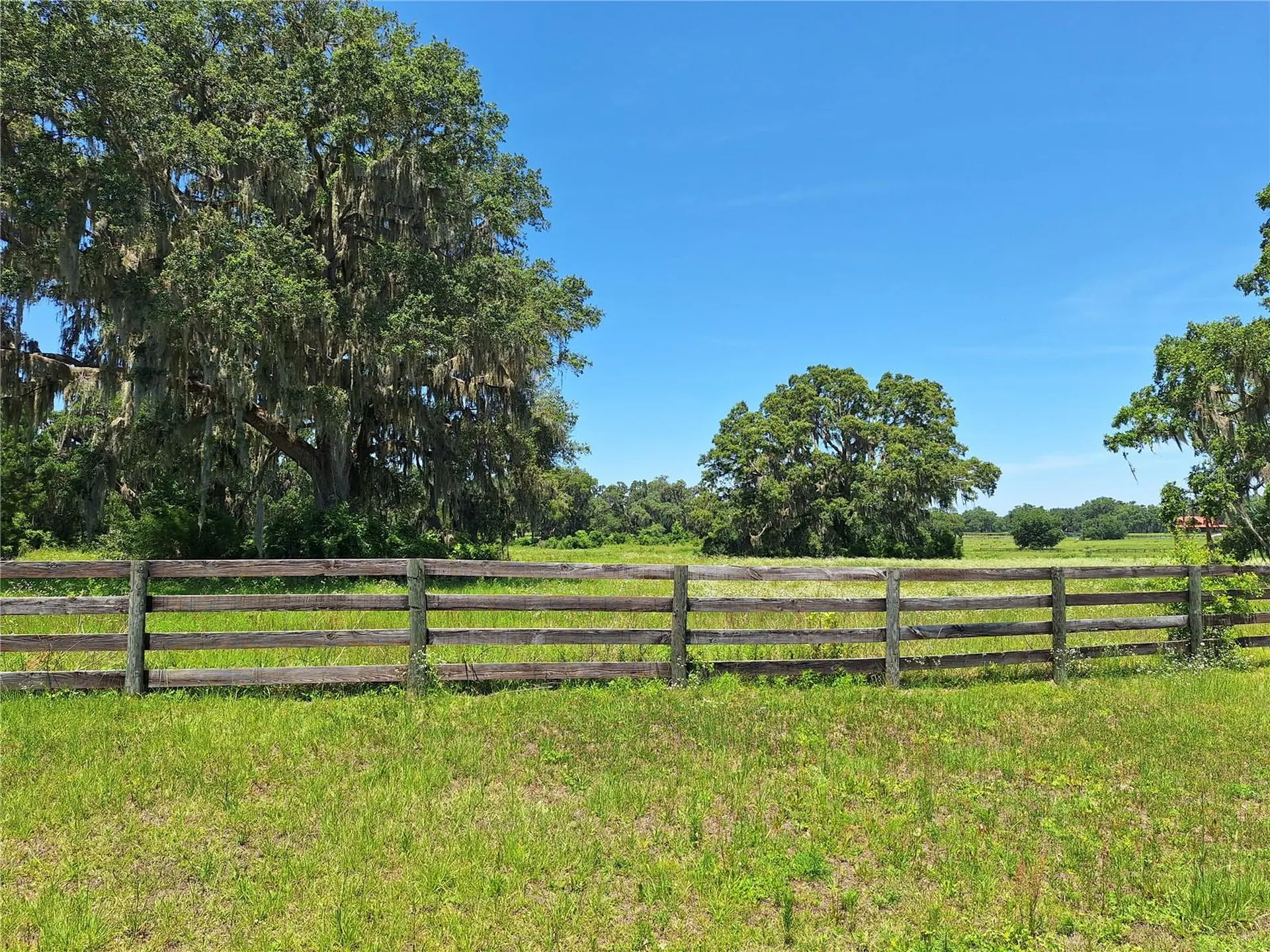 NW 154th Avenue Road #13 Morriston FL 32668