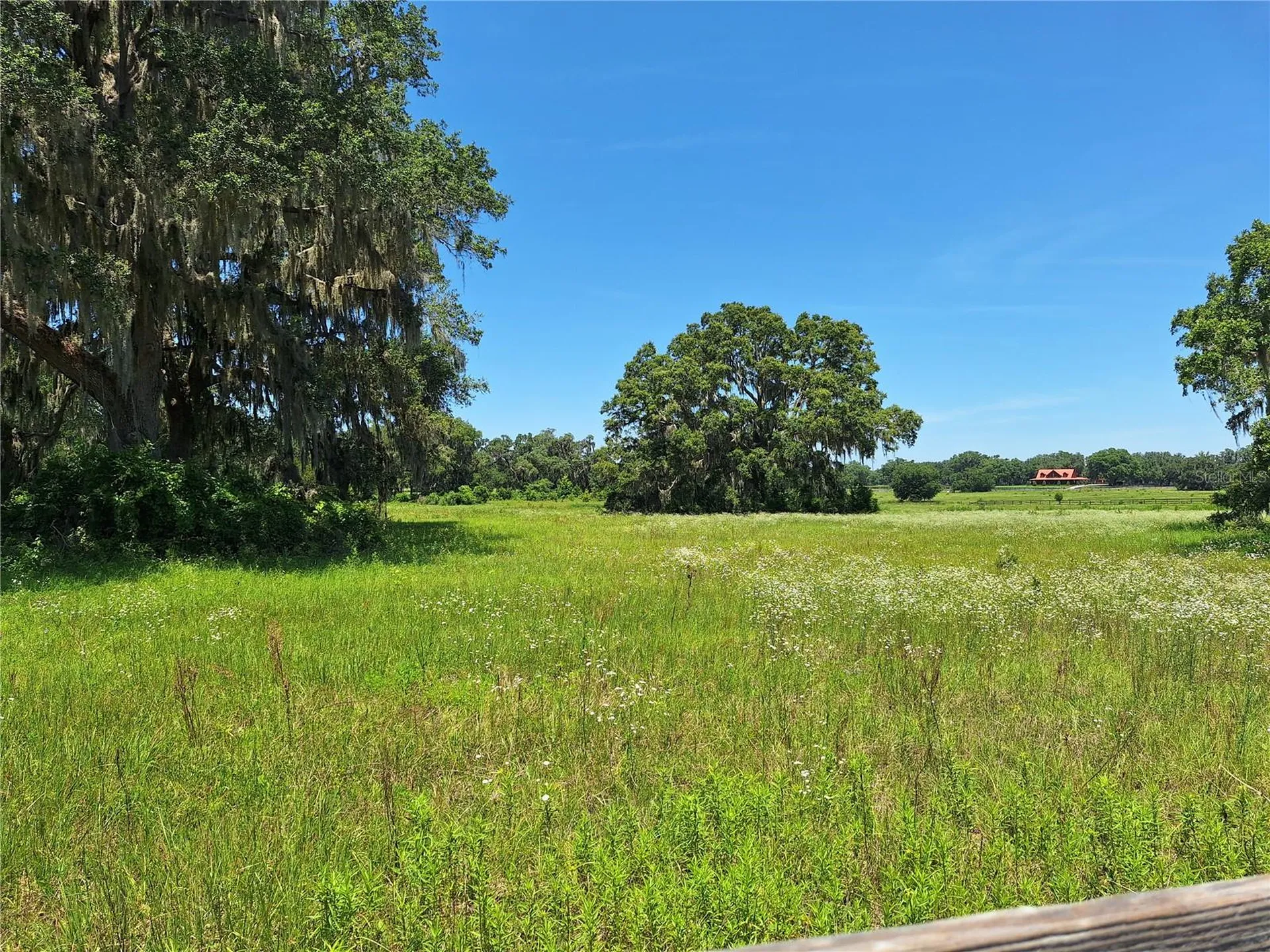 NW 154th Avenue Road #13 Morriston FL 32668