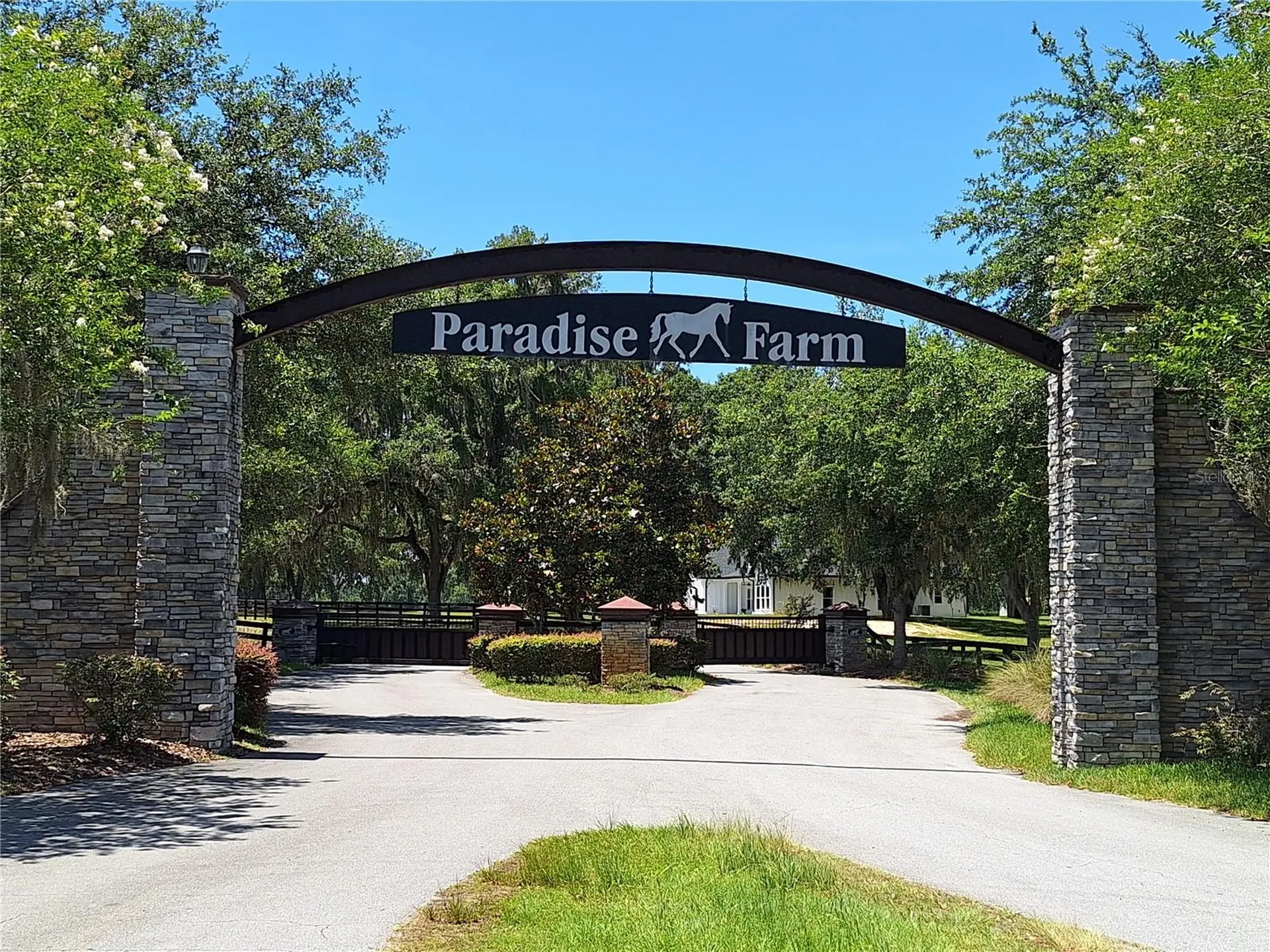NW 154th Avenue Road #13 Morriston FL 32668
