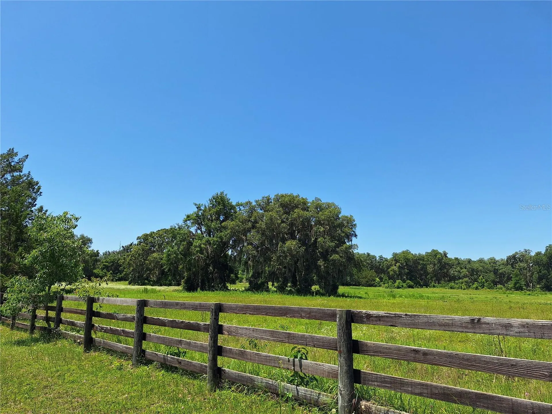 NW 154th Avenue Road #13 Morriston FL 32668