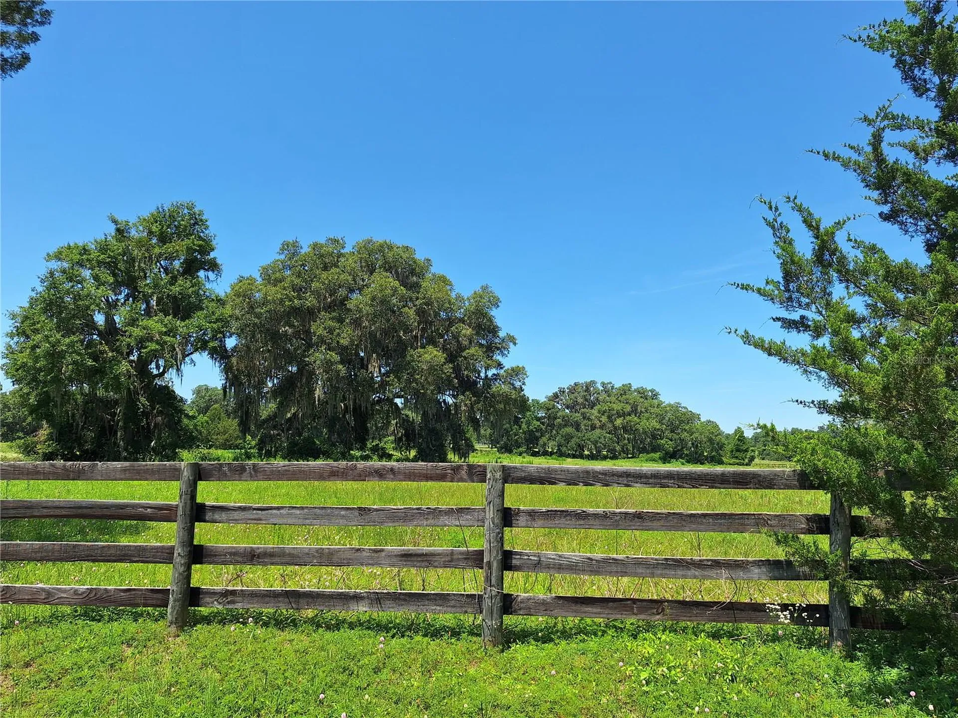 NW 154th Avenue Road #13 Morriston FL 32668