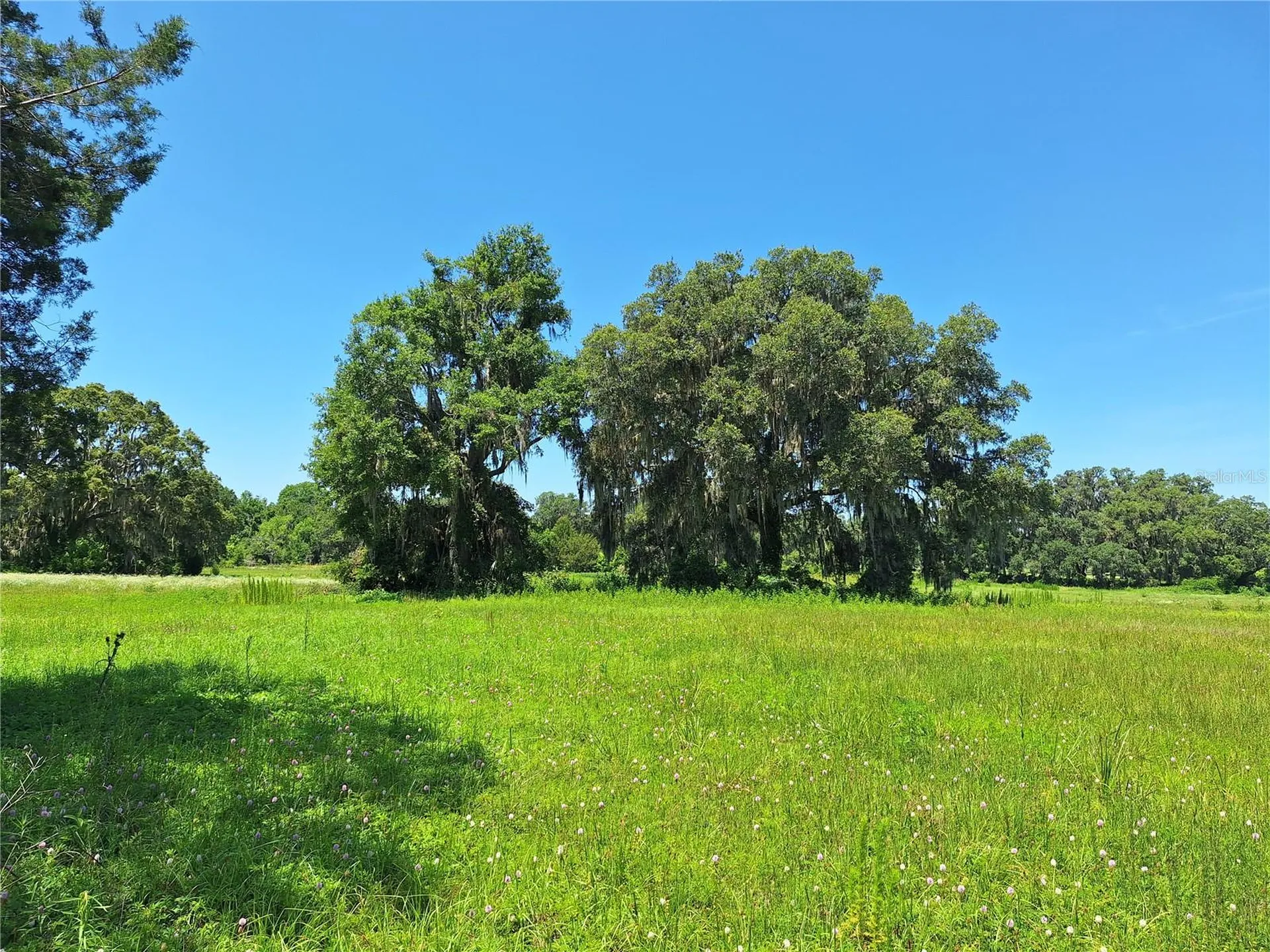 NW 154th Avenue Road #13 Morriston FL 32668