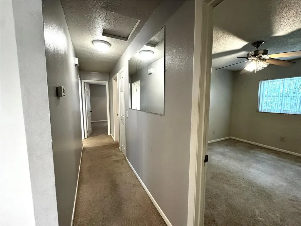 3419 Pearson Road Valrico FL 33596