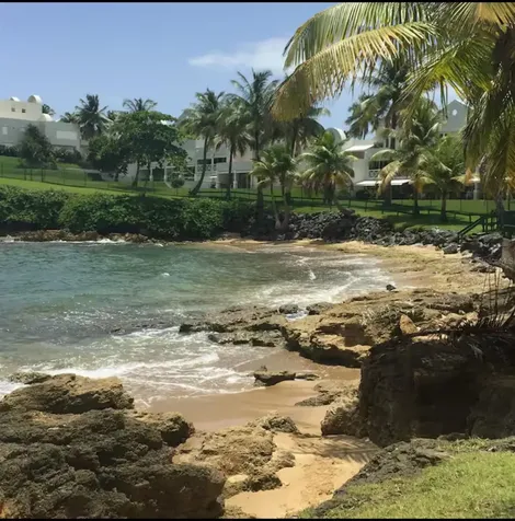 101 Ocean Villas Dorado PR 00646