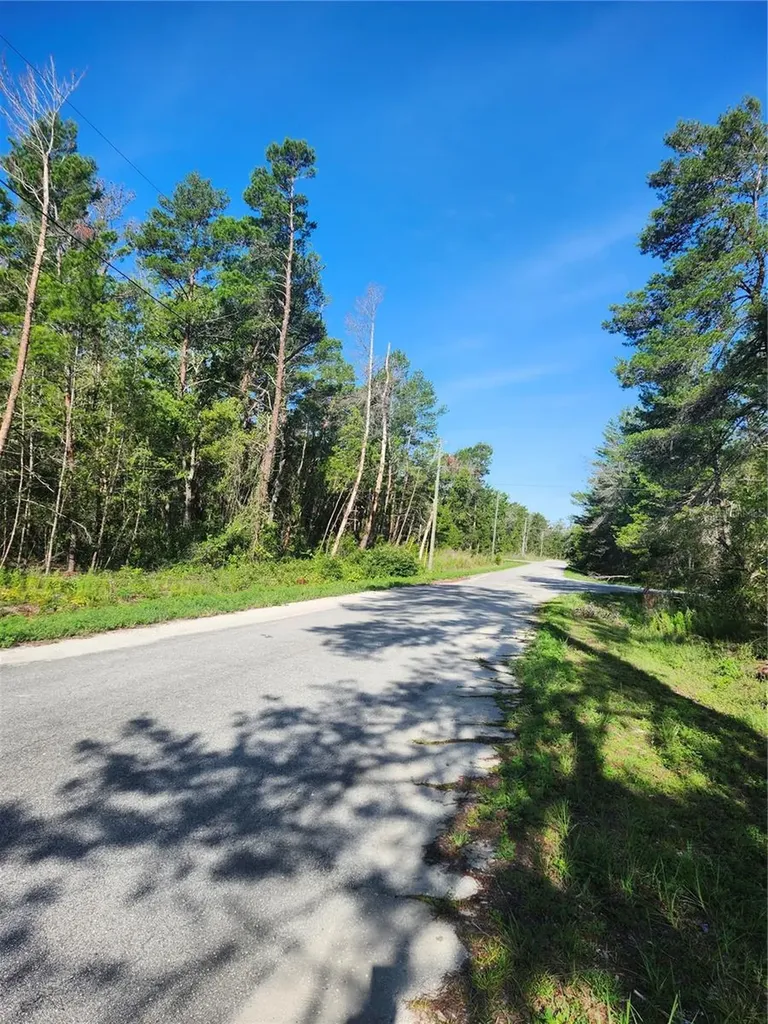 00 Fisher Trail Ocklawaha FL 32179