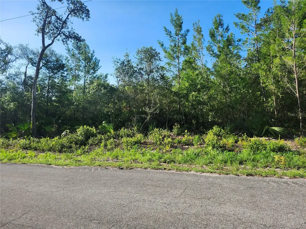 00 Fisher Trail Ocklawaha FL 32179