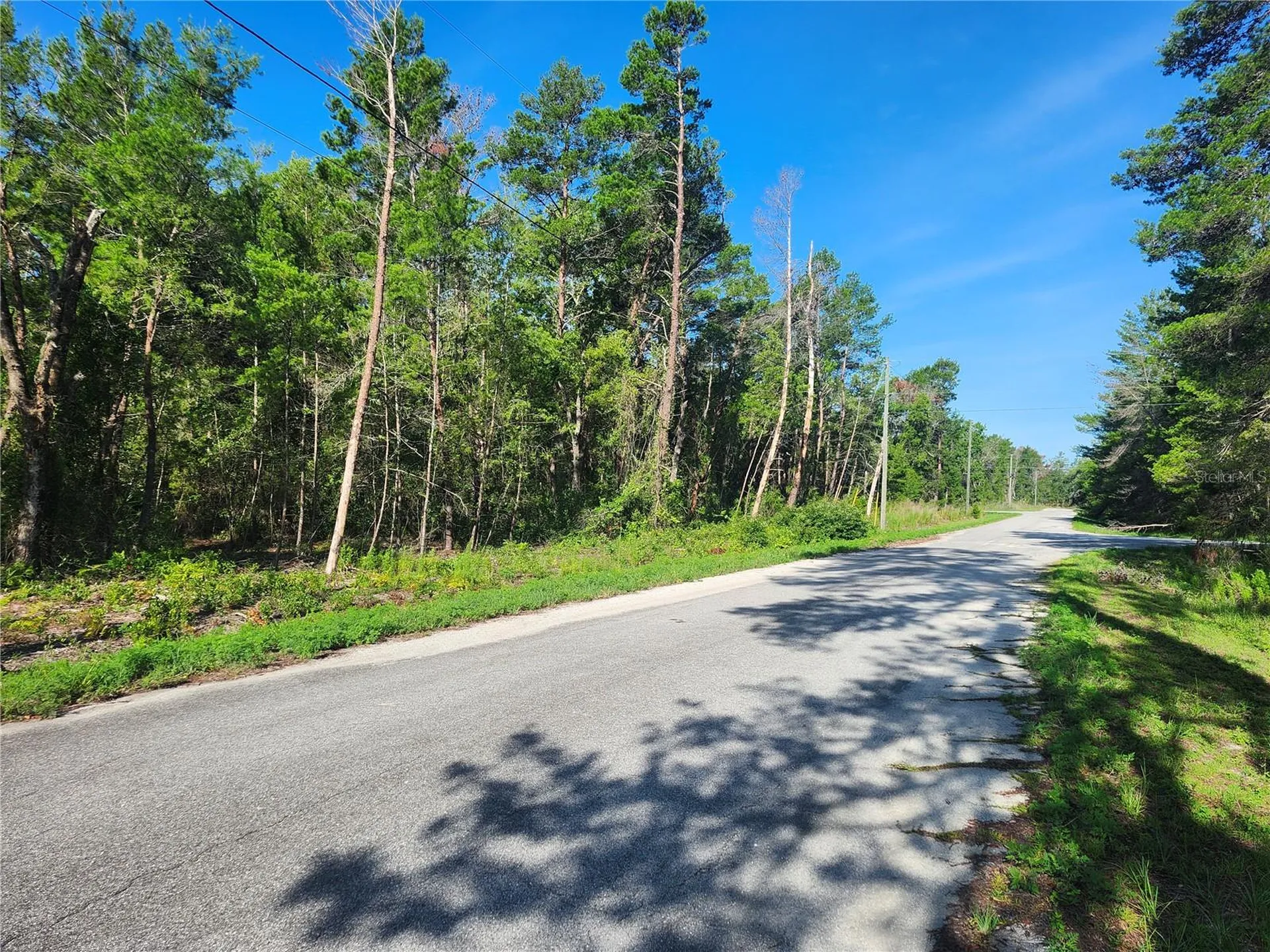 00 Fisher Trail Ocklawaha FL 32179