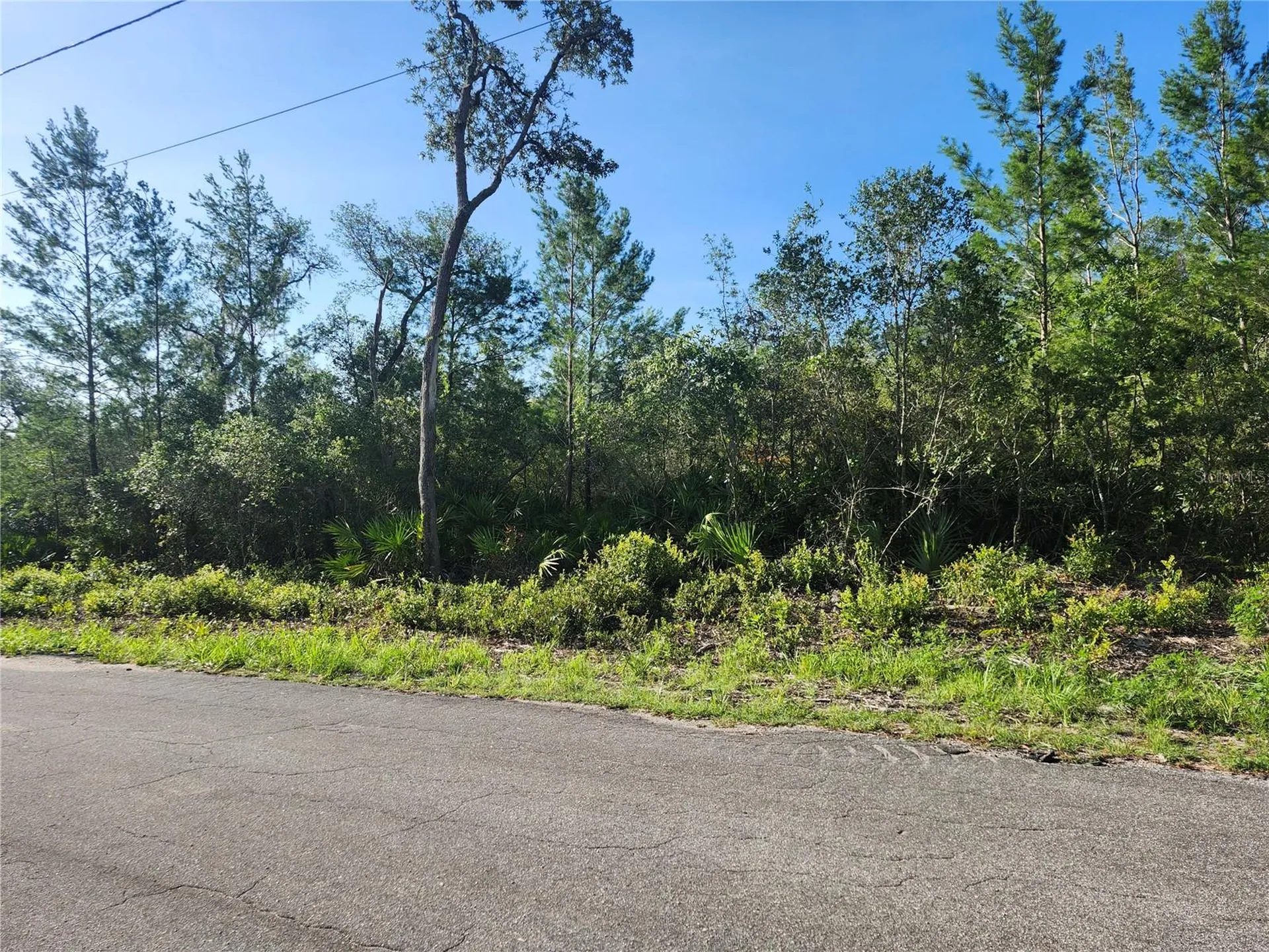00 Fisher Trail Ocklawaha FL 32179