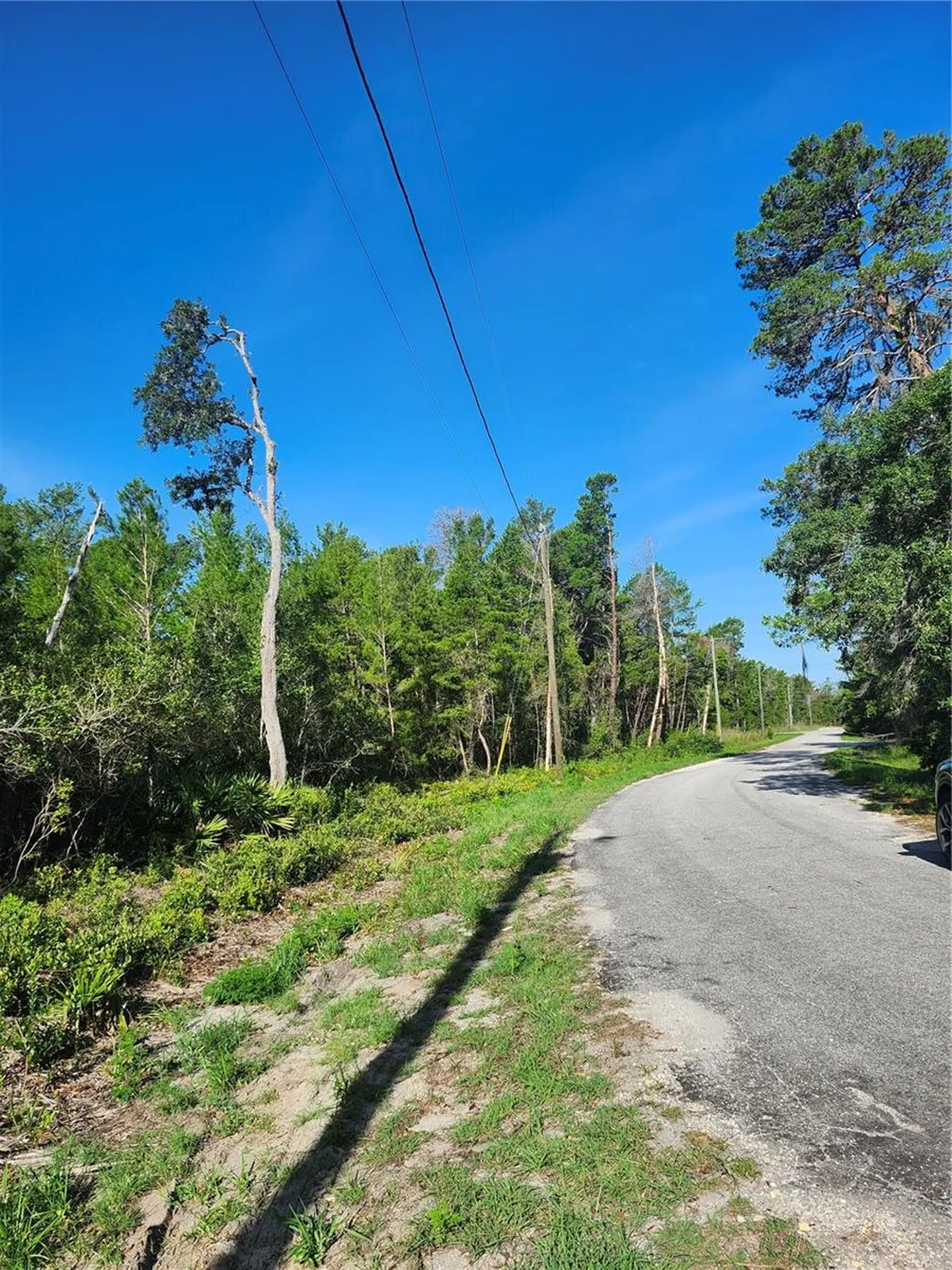 00 Fisher Trail Ocklawaha FL 32179
