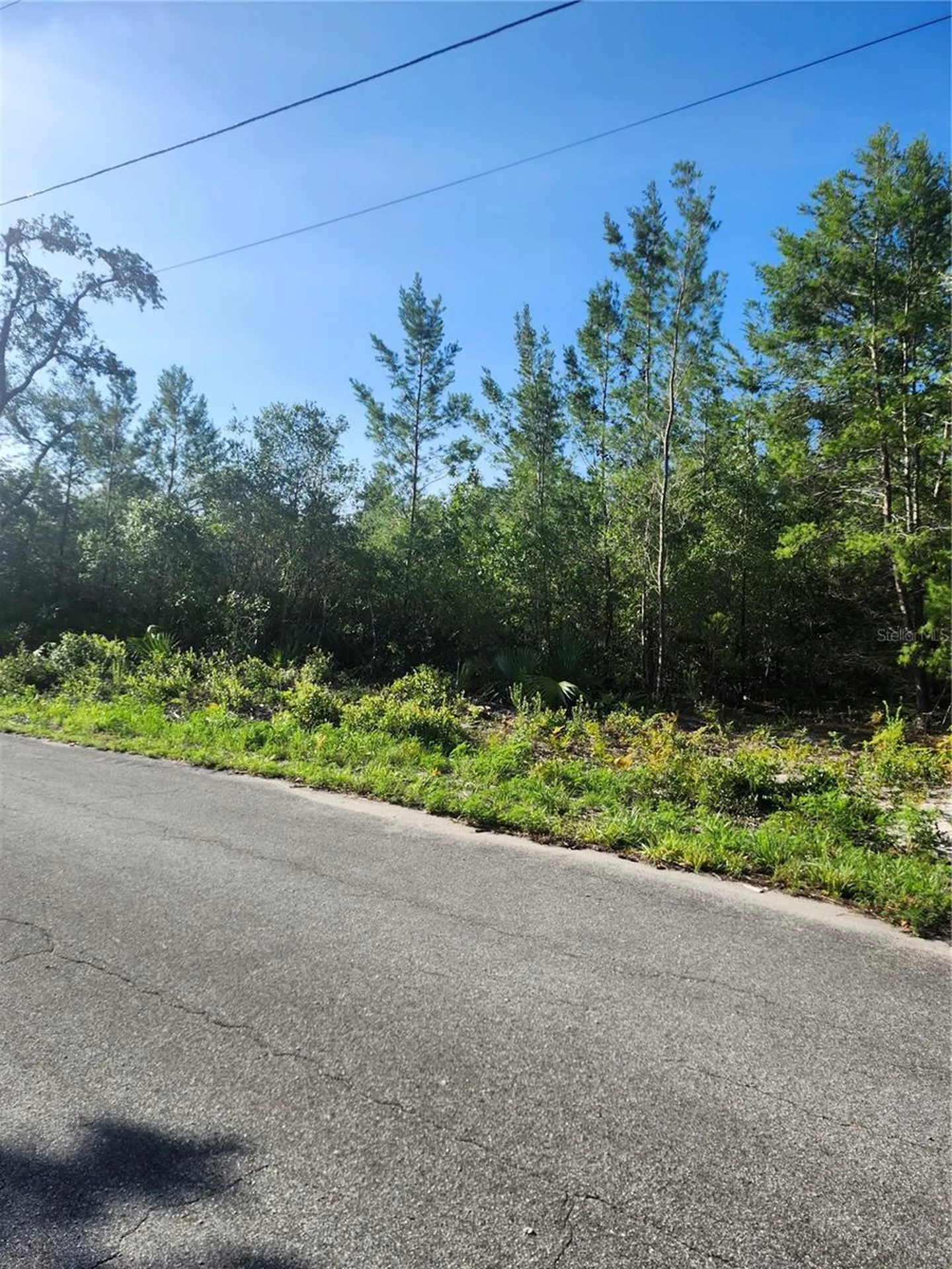 00 Fisher Trail Ocklawaha FL 32179