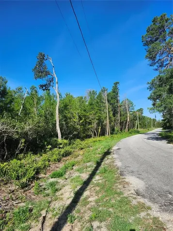 00 Fisher Trail Ocklawaha FL 32179