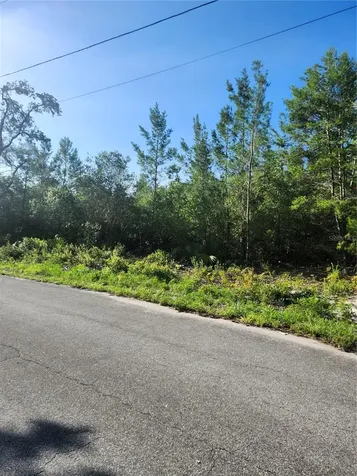 00 Fisher Trail Ocklawaha FL 32179
