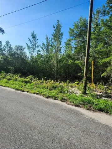 00 Fisher Trail Ocklawaha FL 32179