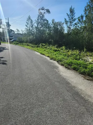 00 Fisher Trail Ocklawaha FL 32179