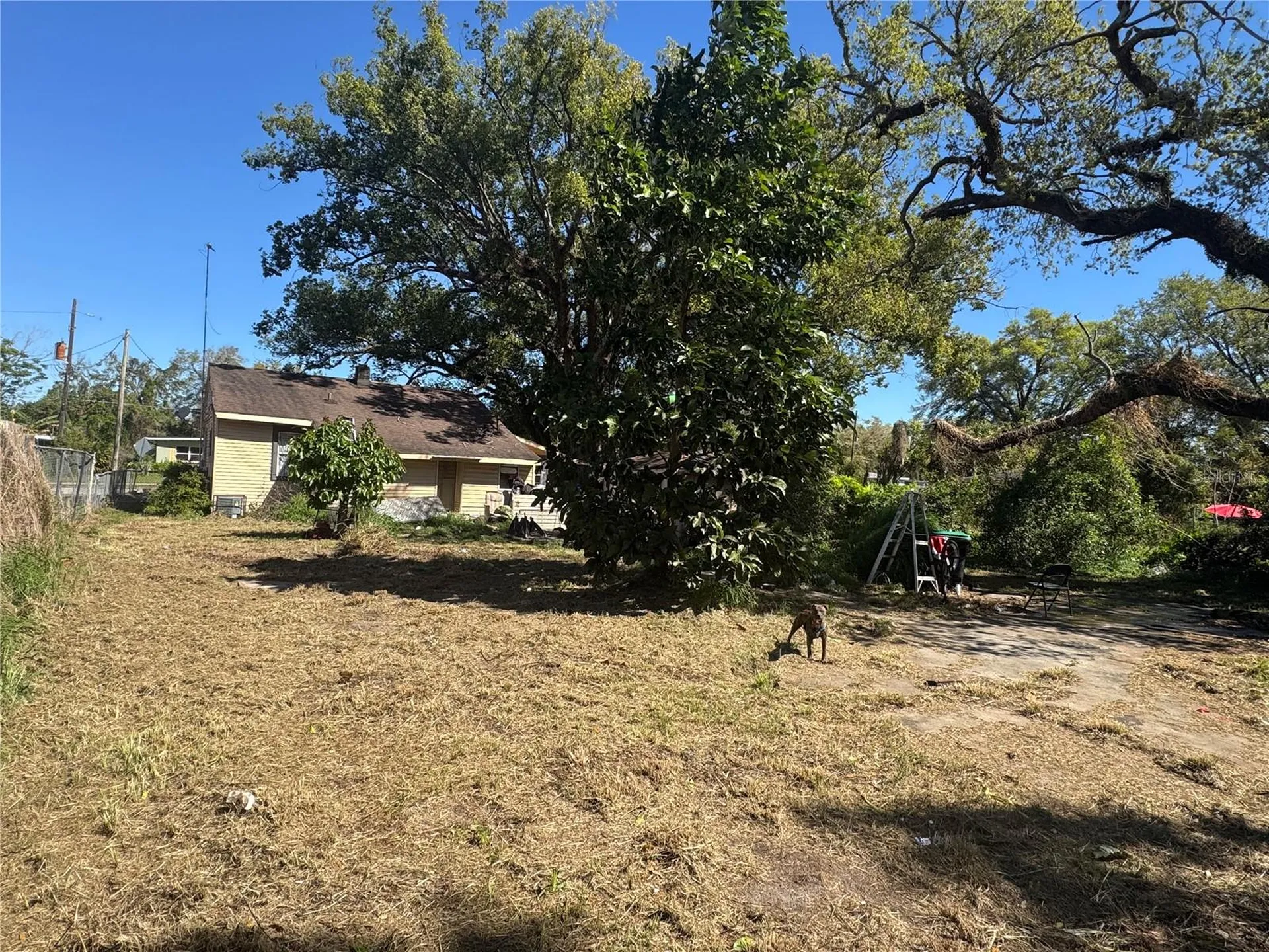 1500 43rd Street Orlando FL 32839