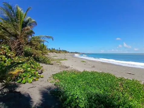 15.5 Carretera 681 Km.hm 15.5 Barceloneta PR 00617