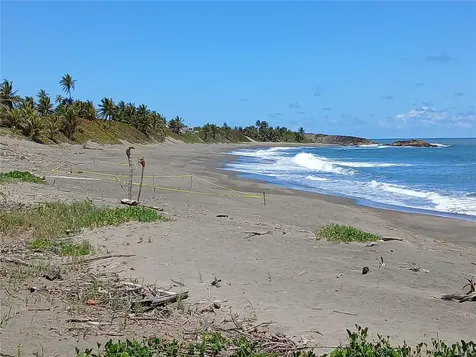 15.5 Carretera 681 Km.hm 15.5 Barceloneta PR 00617