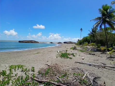 15.5 Carretera 681 Km.hm 15.5 Barceloneta PR 00617