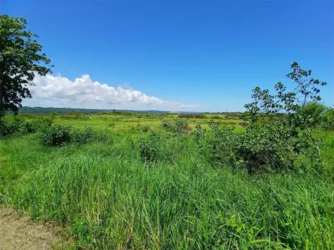 15.5 Carretera 681 Km.hm 15.5 Barceloneta PR 00617