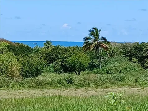 15.5 Carretera 681 Km.hm 15.5 Barceloneta PR 00617