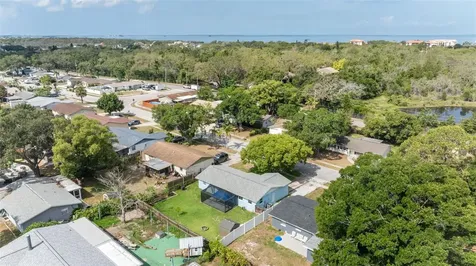 1415 Coppertree Drive Tarpon Springs FL 34689