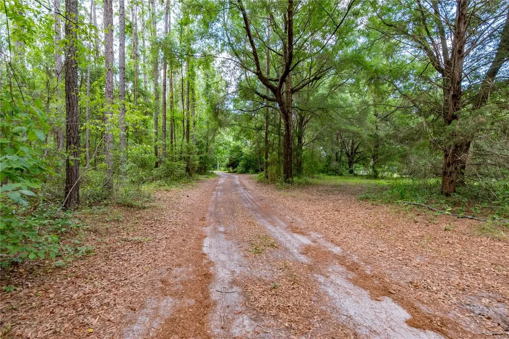 23227 W Newberry Road Newberry FL 32669