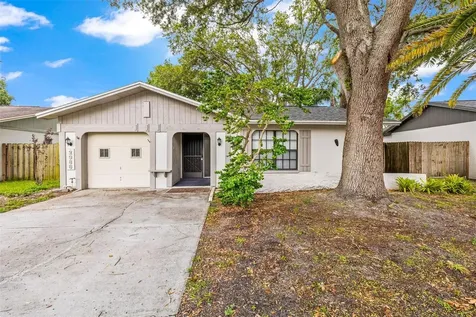 2986 Cypress Green Drive Palm Harbor FL 34684