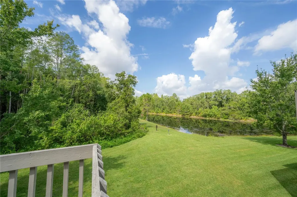 14116 Trouville Drive Tampa FL 33624
