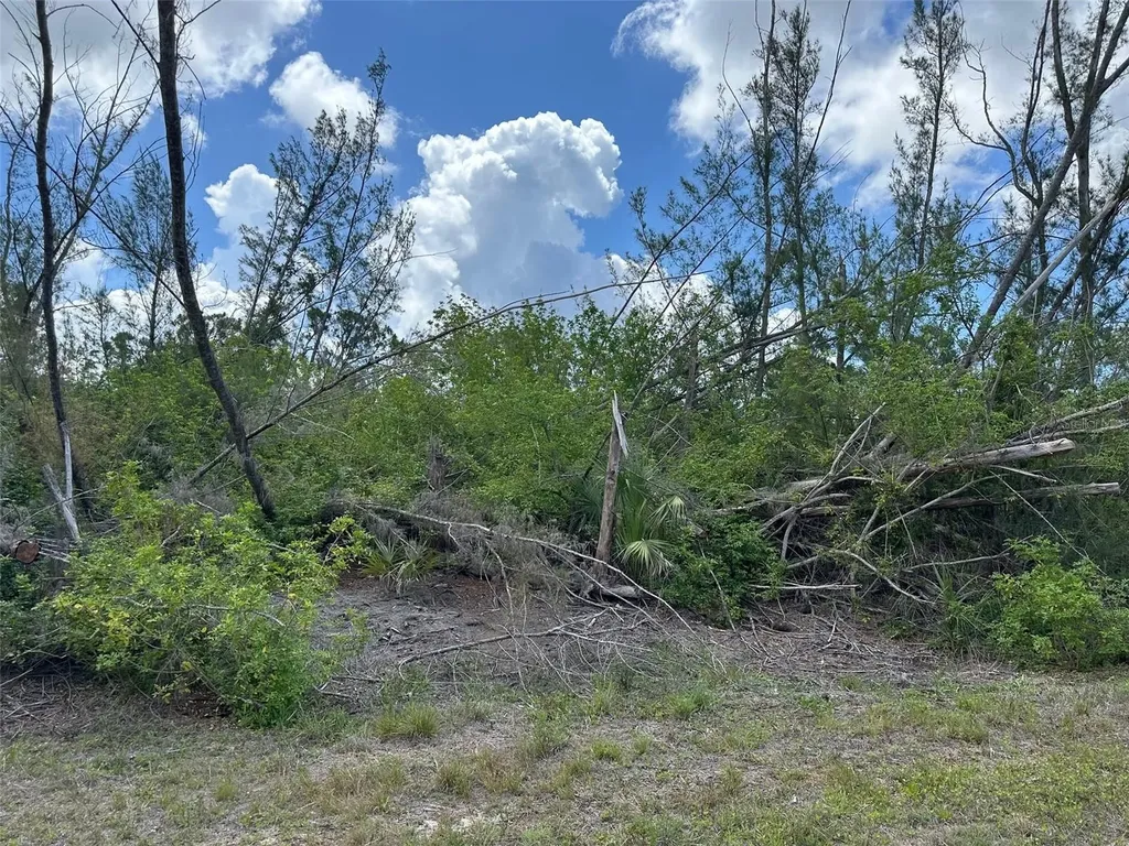 10792 Hatchet Circle Port Charlotte FL 33981
