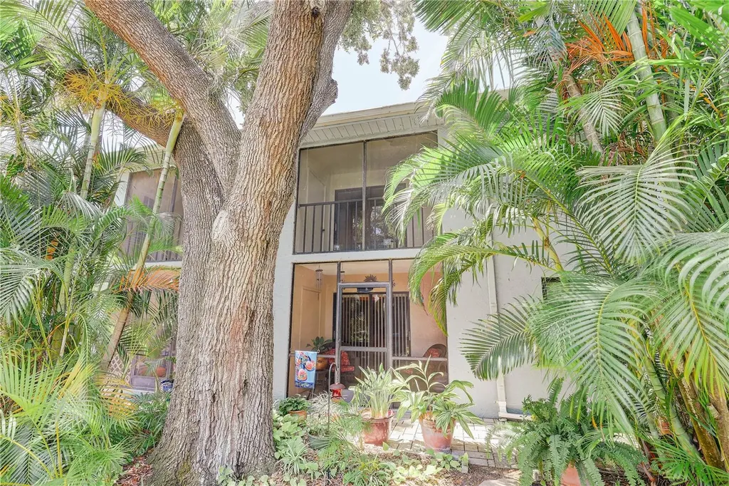 11800 Park Boulevard Seminole FL 33772