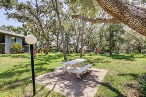 11800 Park Boulevard Seminole FL 33772